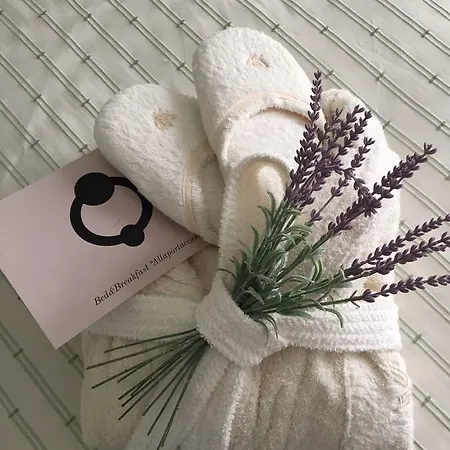 Allaportaccanto 住宿加早餐酒店 3*